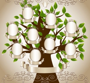 arbol genealogico 1